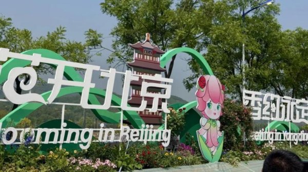 云天华成 明日开启！北京当季“顶流”，全球千余种集中亮相！
