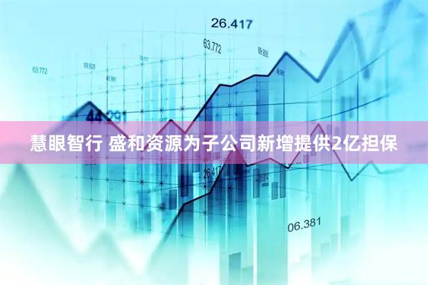 慧眼智行 盛和资源为子公司新增提供2亿担保