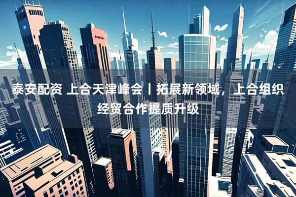 泰安配资 上合天津峰会丨拓展新领域，上合组织经贸合作提质升级