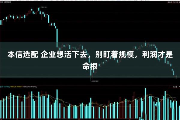 本信选配 企业想活下去，别盯着规模，利润才是命根