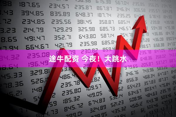 途牛配资 今夜！大跳水