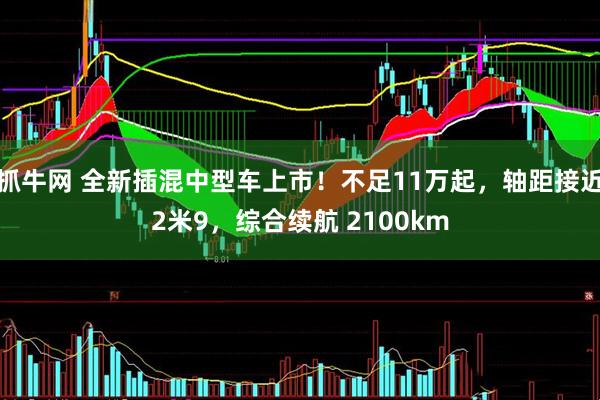 抓牛网 全新插混中型车上市！不足11万起，轴距接近2米9，综合续航 2100km